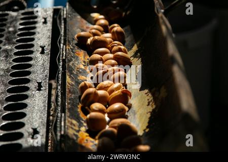 Pasta tradizionale giapponese di fagioli azuki ripieni o anko in una bancarella del mercato alimentare di Kyoto. Foto Stock