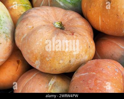 Zucche e verdure assortite esposte al mercato Foto Stock