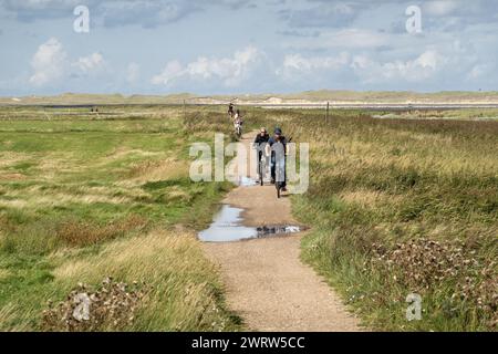 Persone in bicicletta attraverso le saline dell'isola di Amrum, Frisia settentrionale, Schleswig-Holstein, Germania Foto Stock