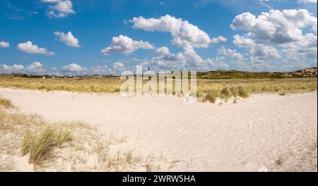 Panorama del faro, dell’erba di marram e delle dune, Hoernum Odde, dell’isola di Sylt, della Frisia settentrionale, dello Schleswig-Holstein, Germania Foto Stock