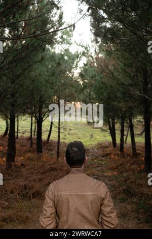 Vista posteriore di un giovane con la giacca marrone che cammina verso la foresta Foto Stock