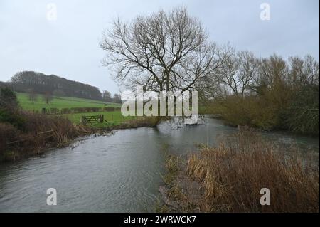 Il livello dell'acqua sul fiume Windrush a Swinbrook vicino a Burford, nell'Oxfordshire, ha raggiunto un livello abbastanza elevato di piogge pesanti negli ultimi giorni Foto Stock