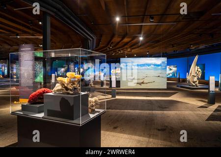 Ausstellung Plante Ozean im Gasometer in Oberhausen, Die Weltmeere in ihrer fragilen Schönheit stehen im Mittelpunkt der neuen Ausstellung, großformatige Fotos, Exponate bis Hin zum Walfisch Skelett und eine Immersive Video und Sound Großinstallation, Die Welle, auf einer 40 Meter hohen und insgesamt über 1000 Quadratmeter großen Leinwand ist zu sehen, Oberhausen, Deutschland Gasometer Planet Ozean *** Mostra Planet Ocean nel Gasometer di Oberhausen, i mondi oceani in tutta la loro fragile bellezza sono al centro della nuova mostra, foto di grande formato, mostre tra cui uno skeleto balena Foto Stock