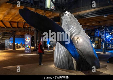 Ausstellung Plante Ozean im Gasometer in Oberhausen, Die Weltmeere in ihrer fragilen Schönheit stehen im Mittelpunkt der neuen Ausstellung, großformatige Fotos, Exponate bis Hin zum Walfisch Skelett und eine Immersive Video und Sound Großinstallation, Die Welle, auf einer 40 Meter hohen und insgesamt über 1000 Quadratmeter großen Leinwand ist zu sehen, Oberhausen, Deutschland Gasometer Planet Ozean *** Mostra Planet Ocean nel Gasometer di Oberhausen, i mondi oceani in tutta la loro fragile bellezza sono al centro della nuova mostra, foto di grande formato, mostre tra cui uno skeleto balena Foto Stock