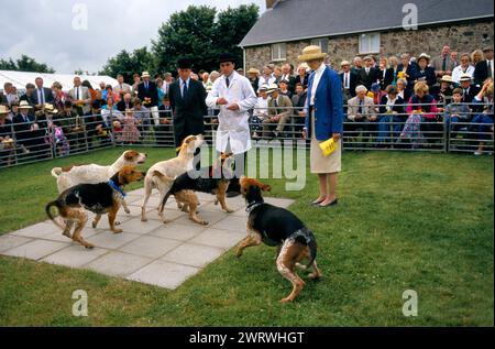 Spettacolo di cuccioli che si tiene ogni anno durante l'estate per trovare il miglior cane. Due giudici che giudicano i cuccioli. Hunt Servant con cappotto bianco e cappello da Bowler. Quantock Staghounds Somerset ed Exmoor Devon 1990s UK. 1997 HOMER SYKES Foto Stock