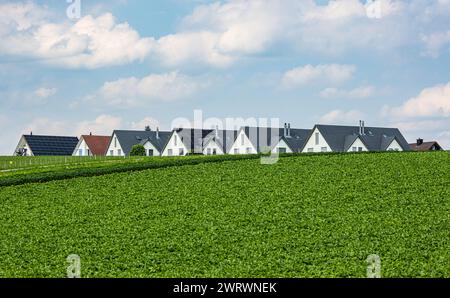 Die Häuser von Höri im Zürcher Unterland vom Nerracherried ausgesehen. (Höri, Svizzera, 03.06.2023) Foto Stock