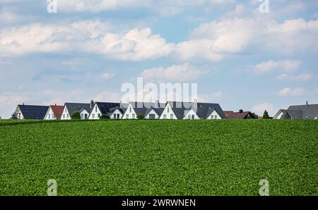 Die Häuser von Höri im Zürcher Unterland vom Nerracherried ausgesehen. (Höri, Svizzera, 03.06.2023) Foto Stock