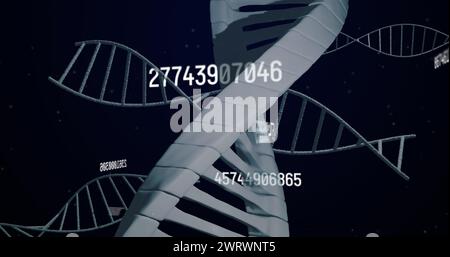 Immagine di numeri, elaborazione dei dati e filatura di dna Foto Stock