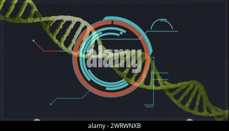 Immagine del cerchio di elaborazione sul dna su sfondo nero Foto Stock