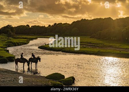 Agricoltura in Galles. Pietre a gradini vicino al castello di Ogmore sull'Afon Ogwr / fiume Ogmore vicino a Bridgend in Mid Glamorgan: Phillip Roberts Foto Stock