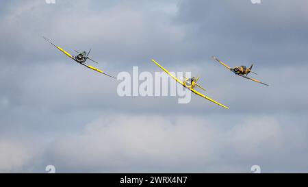 3 aeromobili Harvard in volo al Race Day Airshow tenutosi a Shuttleworth il 1° ottobre 2023. Foto Stock