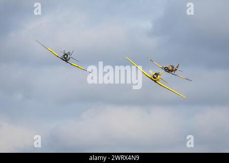 3 aeromobili Harvard in volo al Race Day Airshow tenutosi a Shuttleworth il 1° ottobre 2023. Foto Stock