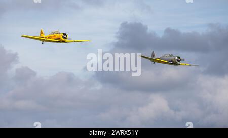 1942 Harvard FE511 & Navy Wings - 1954 Harvard T6 «G-NWHF, in volo al Race Day Airshow tenutosi a Shuttleworth il 1 ottobre 2023. Foto Stock