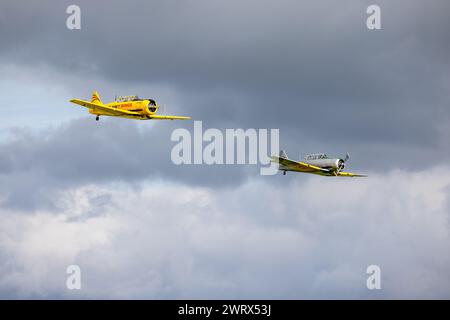 1942 Harvard FE511 & Navy Wings - 1954 Harvard T6 «G-NWHF, in volo al Race Day Airshow tenutosi a Shuttleworth il 1 ottobre 2023. Foto Stock