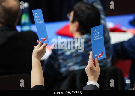 Glauchau, Germania. 14 marzo 2024. I delegati dell'AFD votano "sì" con le loro schede di voto alla conferenza del partito di stato. Nei prossimi giorni, l'AfD sassone vuole stabilire la rotta del personale per le elezioni statali del 1° settembre in città. Dopo ripetuti incidenti, l'elenco degli stati deve essere stavolta redatto senza errori. L'AfD ha previsto quattro giorni per la procedura. Crediti: Jan Woitas/dpa/Alamy Live News Foto Stock