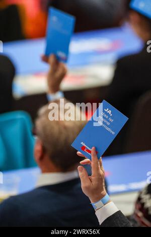 Glauchau, Germania. 14 marzo 2024. I delegati dell'AFD votano "sì" con le loro schede di voto alla conferenza del partito di stato. Nei prossimi giorni, l'AfD sassone vuole stabilire la rotta del personale per le elezioni statali del 1° settembre in città. Dopo ripetuti incidenti, l'elenco degli stati deve essere stavolta redatto senza errori. L'AfD ha previsto quattro giorni per la procedura. Crediti: Jan Woitas/dpa/Alamy Live News Foto Stock