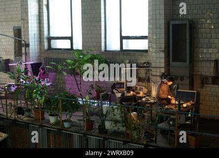 Colpo estremo di tre diversi giovani che lavorano per la codifica post-apocalittica dei rifugi al computer, riparano lampade e piantano semi Foto Stock