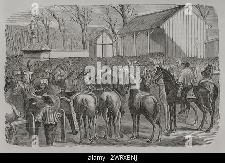 Guerra franco-prussiana (1870-1871). Assedio di Parigi (dal 19 settembre 1870 al 28 gennaio 1871). Mercato dei cavalli durante l'assedio della città da parte dei prussiani. Incisione. Historia de la Guerra de Francia y Prusia (storia della guerra tra Francia e Prussia). Volume II Pubblicato a Barcellona, 1871. Foto Stock