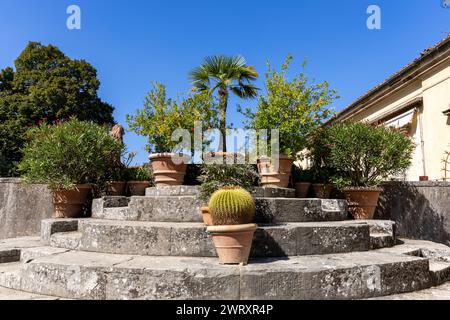 Vasi di argilla con palme, cactus e altre piante nel giardino mediterraniano illuminato dal sole Foto Stock