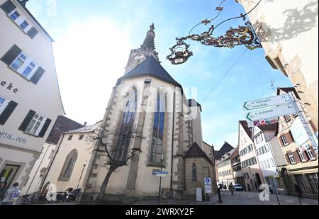 Rottenburg am Neckar, Germania. 14 marzo 2024. St Cattedrale di Martin a Rottenburg am Neckar. Crediti: Bernd Weißbrod/dpa/Alamy Live News Foto Stock