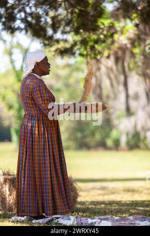 Sharon Cooper-Murray, un attore storico di Gullah, dimostra come la gente schiava abbia fatto venire il riso Carolina Gold per separare il grano dalla pula utilizzando cesti Fanner nella piantagione Charles Pinckney SNEE Farm presso il sito storico nazionale Charles Pinckney a Mt Pleasant, South Carolina. Pinckney, uno dei padri fondatori degli Stati Uniti, una volta possedeva 58 afroamericani schiavizzati nella piantagione. Foto Stock