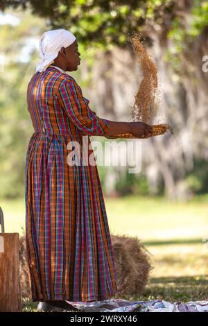 Sharon Cooper-Murray, un attore storico di Gullah, dimostra come la gente schiava abbia fatto venire il riso Carolina Gold per separare il grano dalla pula utilizzando cesti Fanner nella piantagione Charles Pinckney SNEE Farm presso il sito storico nazionale Charles Pinckney a Mt Pleasant, South Carolina. Pinckney, uno dei padri fondatori degli Stati Uniti, una volta possedeva 58 afroamericani schiavizzati nella piantagione. Foto Stock