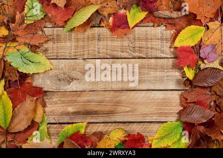 Foglie autunnali colorate su sfondo in legno con spazio di copia. Tavola di legno tagliata ruvida Foto Stock