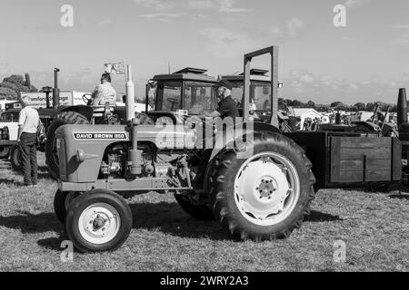 Drayton.Somerset.regno unito.19 agosto 2023. Un David Brown 950 restaurato è in mostra ad un evento agricolo di Yesterdays Foto Stock