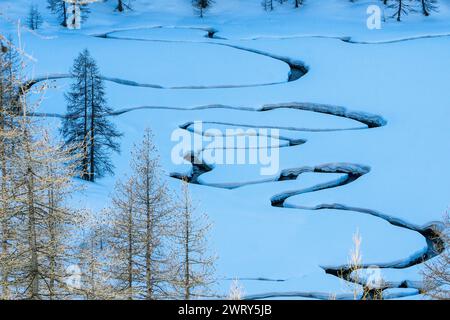 Il fiume scorre attraverso le pianure innevate con pinetree. Foto di alta qualità Foto Stock