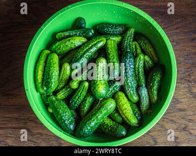 Cetrioli di aneto verde freschi in un recipiente da primo piano pronto per la decapazione. Cibo sano. Foto Stock