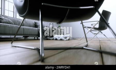 un piccolo simpatico cane intelligente robotico si sveglia in camera. rendering 3d. Foto Stock