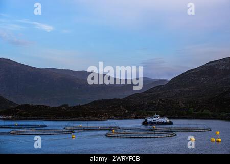 Allevamento di salmoni in Norvegia, Olden, Innvikfjorden, Norvegia, Europa Foto Stock