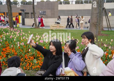 Fiori di tulipani in fiore sul Bund attirano turisti a Shanghai, Cina, 12 marzo 2024. Foto Stock