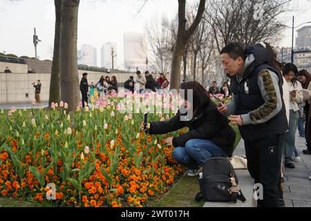 Fiori di tulipani in fiore sul Bund attirano turisti a Shanghai, Cina, 12 marzo 2024. Foto Stock