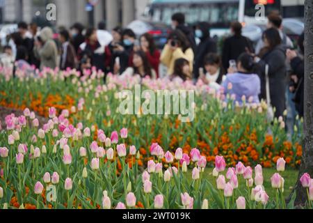 Fiori di tulipani in fiore sul Bund attirano turisti a Shanghai, Cina, 12 marzo 2024. Foto Stock