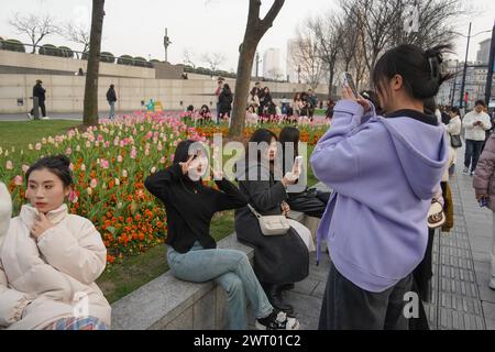 Fiori di tulipani in fiore sul Bund attirano turisti a Shanghai, Cina, 12 marzo 2024. Foto Stock