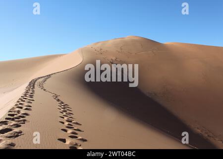 Fare un'escursione in Namibia lungo un sentiero di passi in salita sulla duna. Foto Stock