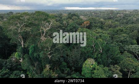 Manaus. 13 marzo 2024. Una foto aerea scattata il 13 marzo 2024 mostra la foresta pluviale di Manaus, la capitale dello stato di Amazonas, in Brasile. Crediti: Wang Tiancong/Xinhua/Alamy Live News Foto Stock