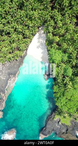 L'acqua turchese delimitata da vegetazione lussureggiante e alberi nella spiaggia di Bateria, ilheu das rolas, sao Tomé, africa Foto Stock