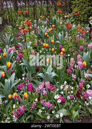 L'abbondanza di colori e profumi di varie specie di fiori che fioriscono nel giardino primaverile Foto Stock