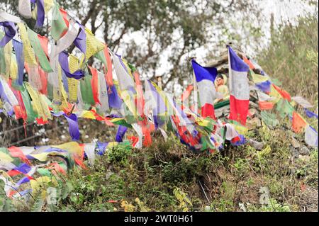 Bandiere di preghiera colorate che sventolano tra gli alberi all'aria aperta, impressioni del Nepal, viaggio dalla valle di Pokhara a Kathmandu Nepal Foto Stock