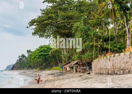 Commerciante presso la spiaggia di Mangsit a Sengiggi, venditore, uomo, spiaggia di palme, viaggi, turismo, mare, spiaggia, acqua, palma, oceano, isola, costa, tropicale, tropicale Foto Stock