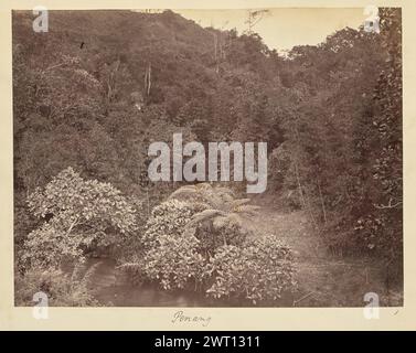 Penang. Sconosciuto, fotografo anni '1850-'1890 vista elevata di un paesaggio collinare di foresta. Una piccola radura conduce alle rive di un fiume che taglia il paesaggio in primo piano. (Recto, monta) centro inferiore, sotto la stampa, scritto a mano a matita: "Penang"; in basso a destra, sotto la stampa, scritto a mano a matita: "1" Foto Stock