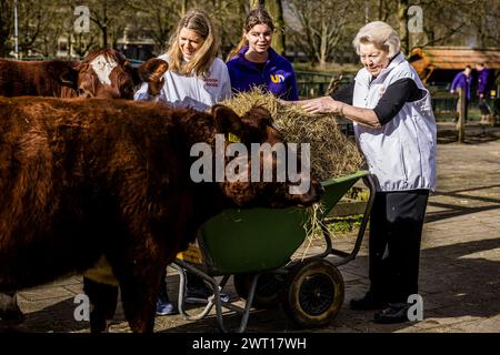 UTRECHT - la Principessa Beatrix fa volontariato in una fattoria urbana durante la ventesima edizione di NLdoet, la più grande campagna di volontariato nei Paesi Bassi. ANP ROB ENGELAAR netherlands Out - belgio Out Foto Stock