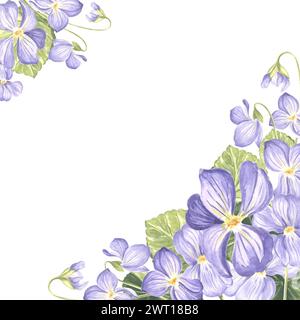 Modello da cartolina con viola selvatico con foglie verdi. Sfondo primavera estate composizione acquerello fiori di pansia, cornice floreale con spazio copia Isol Foto Stock