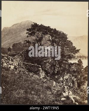 Buttermere. (Lake District). Sconosciuto, fotografo della fine del XIX secolo Vista di un grande albero di fronte ad un gruppo di montagne e ad un grande lago. (Verso, stampa) al centro inferiore, a matita: 'Buttermere'; (verso, stampa) in basso a sinistra, a matita: "A5"; Foto Stock