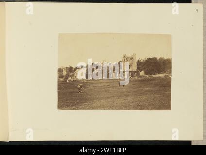 Castello dei Desmonds. Sir John Joscelyn Coghill, fotografo (irlandese, 1826 - 1905) circa 1850 due mucche pascolano in un campo prima delle rovine di un castello di pietra. Una torre rettangolare si erge ancora tra porzioni di un muro ricoperto di muschio o edera. (Recto, Mount) in alto a destra, matita: "9"; in basso a sinistra, matita: "Castello dei mandorli"; Foto Stock