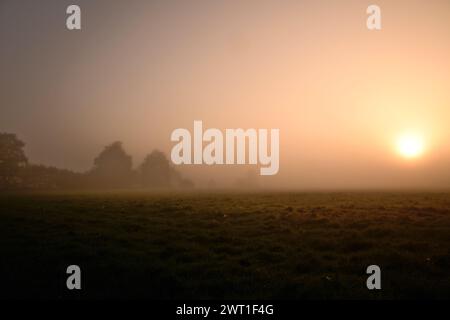 Sonnenaufgang im Nebel Foto Stock