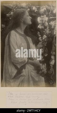 Primavera. Julia Margaret Cameron, fotografa (British, Born India, 1815 - 1879) circa 1865 Ritratto di una giovane donna, che indossa un abito morbido e scorrevole, in piedi di profilo davanti ad una parete di fiori. Si aggrappa a una vite ricoperta di fiori mentre guarda verso l'alto verso la cima del muro. (Recto, monta) scritto a mano a matita: "Vedo una mano che non vedi / che mi allontana / sento una voce che non puoi sentire / che sussurra con affetto "resta"" Foto Stock