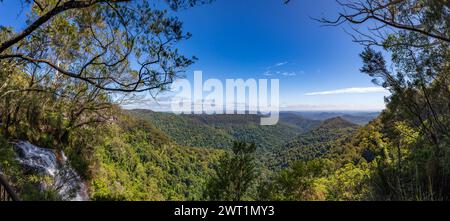 Vista sulla foresta pluviale con cascata nel parco nazionale di Springbrook, Queensland, Australia. Foto Stock